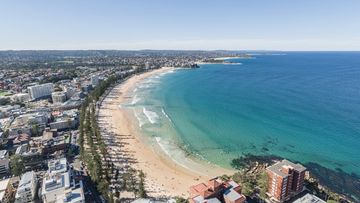 Panoramic high angle aerial drone shot of famous Manly Beach, a beach-side suburb of northern Sydney in the state of New South Wales, Australia. Northern Beaches in the background.