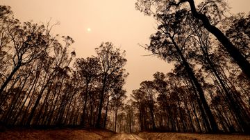 Thousands flee fires as catastrophic weekend conditions arrive