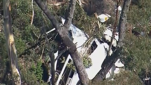 The light plane that crashed in NSW's South yesterday has been found in rough and remote terrain as the pilot remains missing. ï»¿