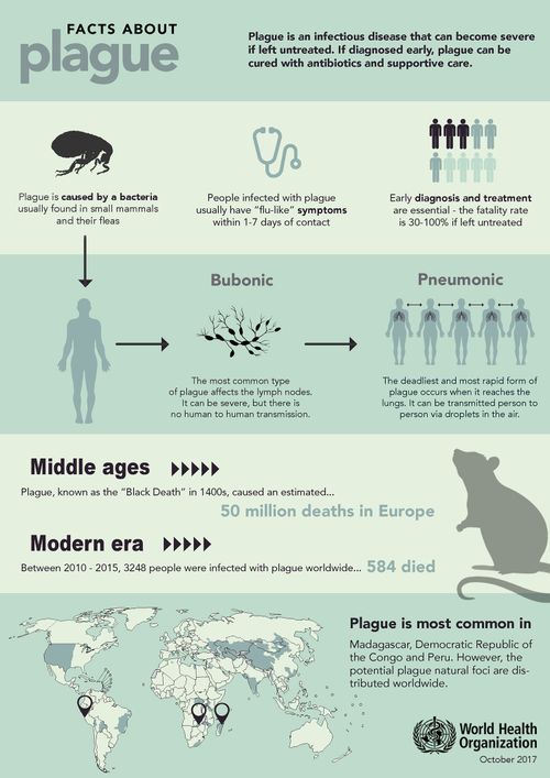 Plague is an infectious disease found in some small mammals and their fleas.