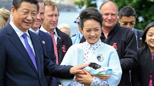 Tassie devils, unruly journos greet Xi