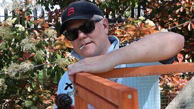 Prime Minister Scott Morrison builds a chicken coop for his family.