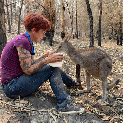 Since the fires Ms Harvey has been working to identify animals in need in the bush. 