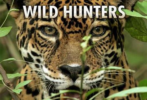 Wild Hunters