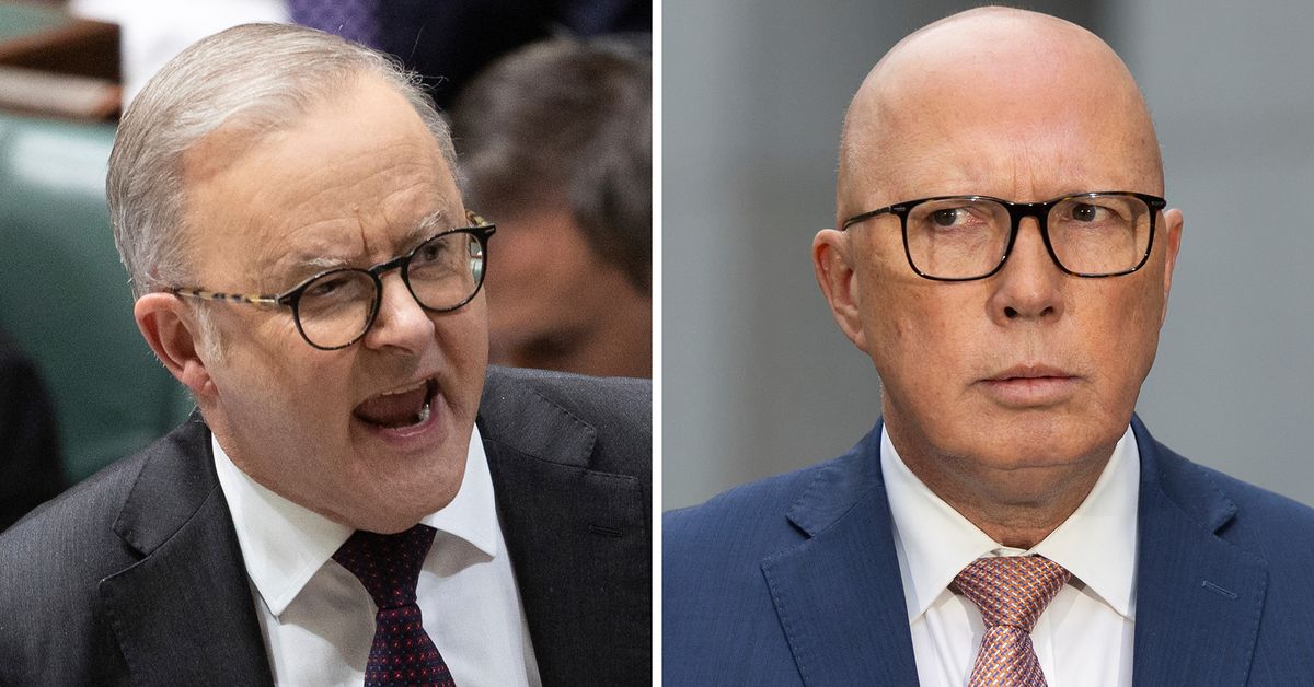 Albanese leads Dutton as preferred leader in new poll