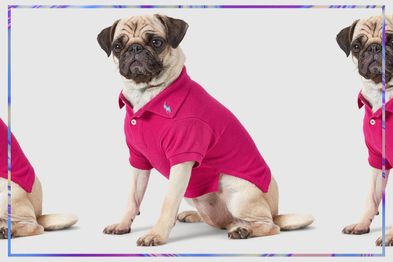9PR: Polo Ralph Lauren Cotton Mesh Dog Polo Shirt, Pink