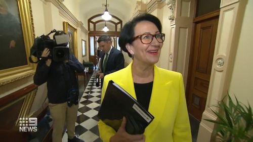 South Australia's former Deputy Premier Vickie Chapman has been cleared of wrongdoing by the Ombudsman during her time as Planning Minister. 