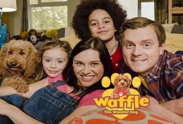 Waffle the Wonder Dog