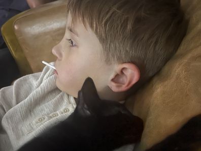 neuroblastoma jack and his family new kitten caviar hills cat rescue the kids cancer project