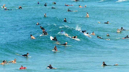 Surfers crowd the waves on Maroubra Beach, despite it being closed by council.