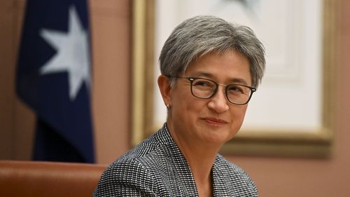 Alexander Abramov, who became head of Russia's largest steel producer Evraz, is suing Foreign Affairs Minister Penny Wong in the Federal Court.