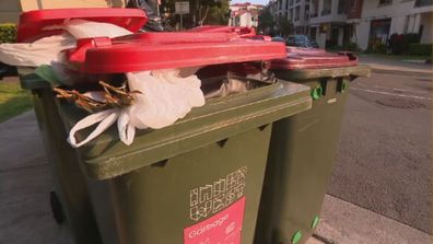 Inner West Sydney bins Karl Stefanovic