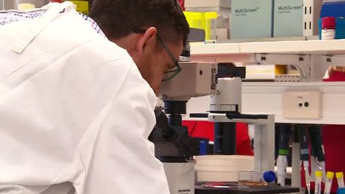 Queensland scientists discover new test that could simplify finding deadly melanoma