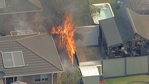 A number of homes were in the path of the blaze. (9NEWS)