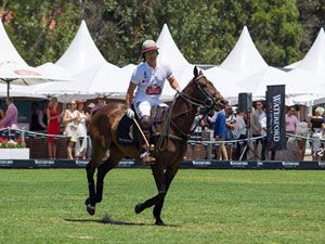 Polo: The Sport of Kings