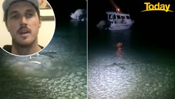 Fisherman left stranded on remote beach after shark attack