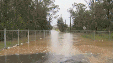 Chester Hill NSW flooding looper