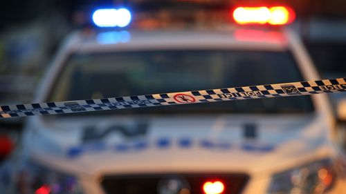 Woman dies after '20 metre' tree branch falls on car in NSW Southern Highlands