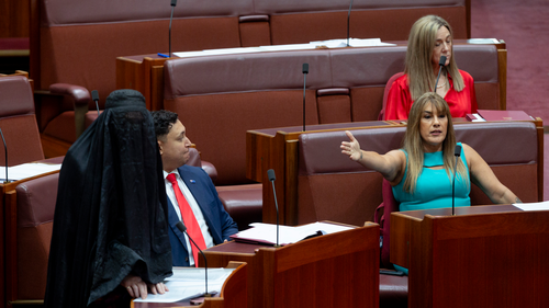 Senator Lidia Thorpe reacts to Senator Pauline Hanson wearing a burqa in the Senate at Parliament House in Canberra  on November 24, 2025. fedpol Photo: Dominic Lorrimer