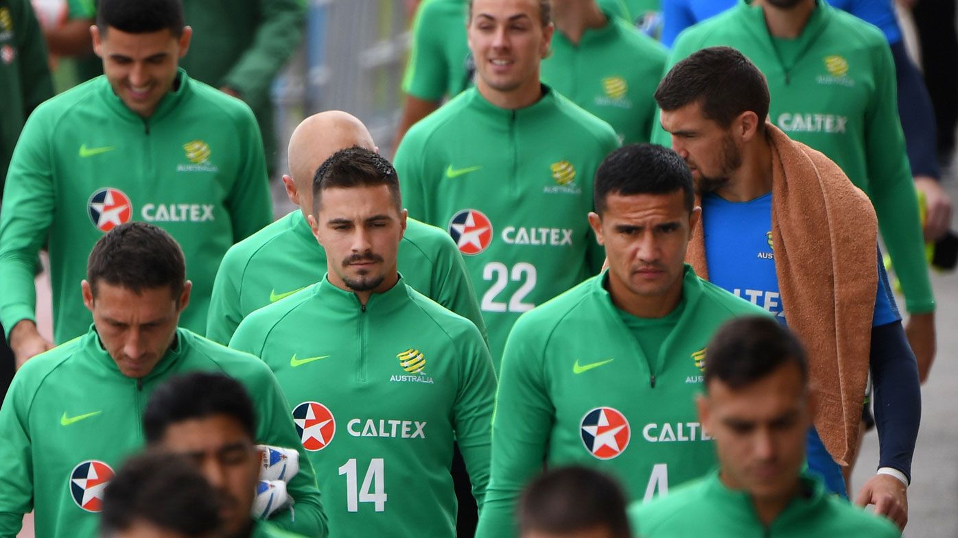 Socceroos cannot be 'impressed' by France: van Marwijk