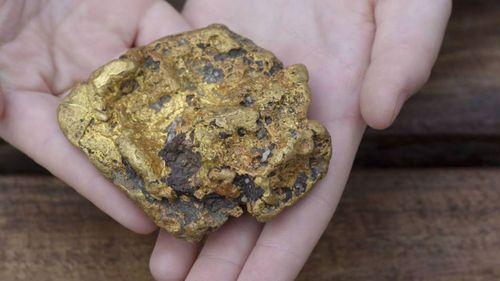 Family on walk find $35k gold nugget