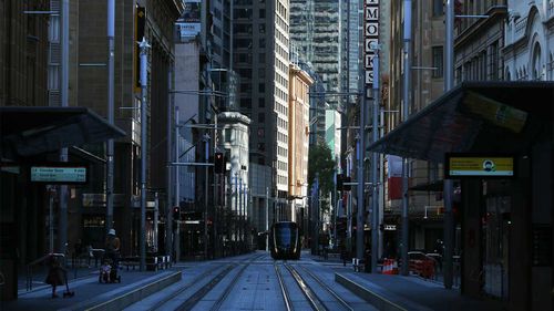 An empty George Street in Sydney's CBD.