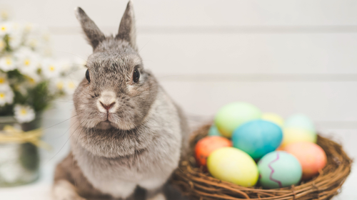 Easter Bunny alongside basket of eggs