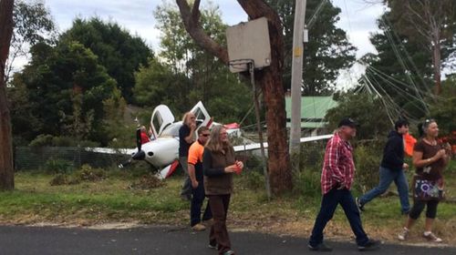Footage of NSW plane crash emerges