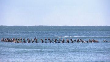 Surfers held a paddle out at Palm Beach in Sydney to honour Mark Sanguinetti, killed in a shark attack.