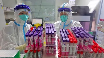 Workers handle swab samples for COVID-19 test at a hospital lab in Yantai in eastern China