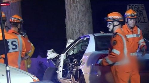 Currey told detectives at the time of the crash that she saw a face in the trunk of a tree, became startled and crashed the car. Picture: 9NEWS.