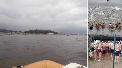Sixty swimmers stung by swarms of jellyfish during Brazilian marathon