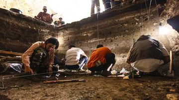 Archaeologists in 2012 at the Flores dig site. (AAP)