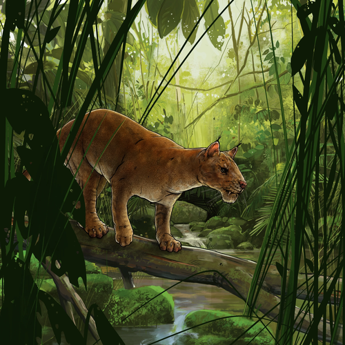 An artist's impression of Diegoaelurus vanvalkenburghae.