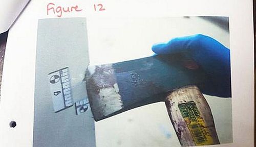 Prosecutors said van Breda used this axe to kill members of his family. (AAP)