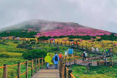 Jeju Island, Korea