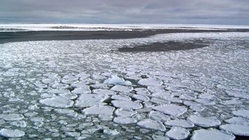 Sea ice on the ocean surrounding Antarctica 
