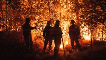 Firefighters work at the scene of a forest fire near Kyuyorelyakh village at Gorny Ulus area, west of Yakutsk, in Russia.