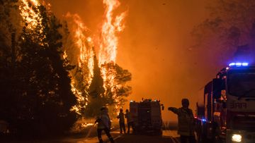 Firefighters tackle a wall of fire during the Black Summer catastrophe