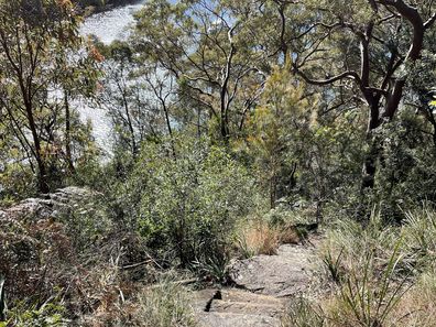 My exercise for mental health is a combination of in-door and outdoor exercise.