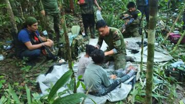 Four children missing in the Amazon jungle have been found alive.