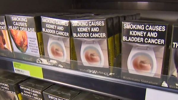IGA claims illicit tobacco market has cost it $150 million and forced staff  hours cut