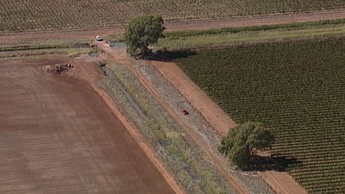 The car was found in a paddock west of Leeton. (9NEWS Choppercam)