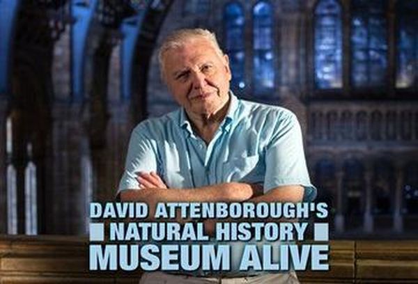 David Attenborough's Natural History Museum Alive