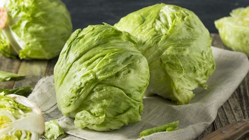 Iceberg lettuce