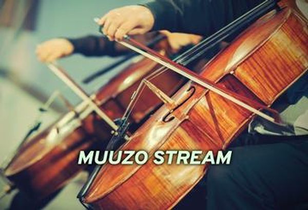 Muuzo Stream