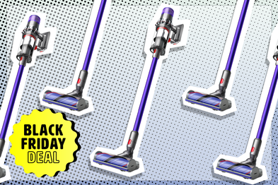 9PR: Dyson V11 Cordless Vacuum, 2023 Model