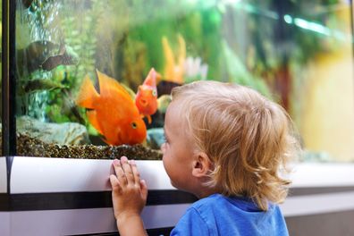 Boy with pet fish
