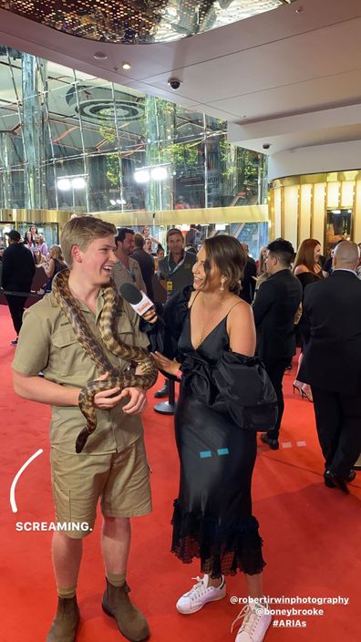 Robert Irwin at the ARIAs