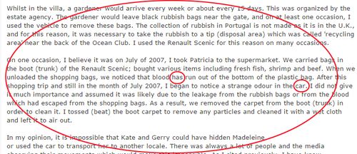 The paragraph that is an "area of concern". Mark McClish believed Sandy Cameron's statement "appears to be truthful with one area of concern". Source: PJ Files